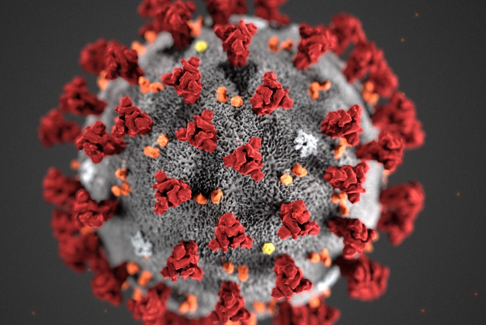 A close up of the center part of a virus.